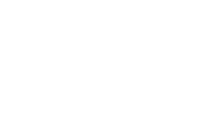 dm sw
