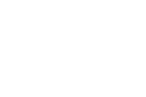 speedmaster sw